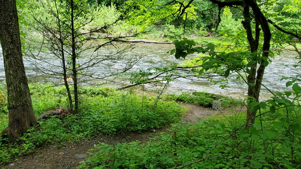 Outlook