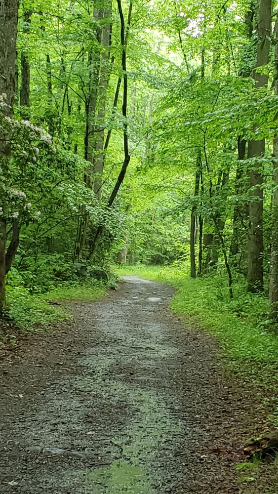 Outlook