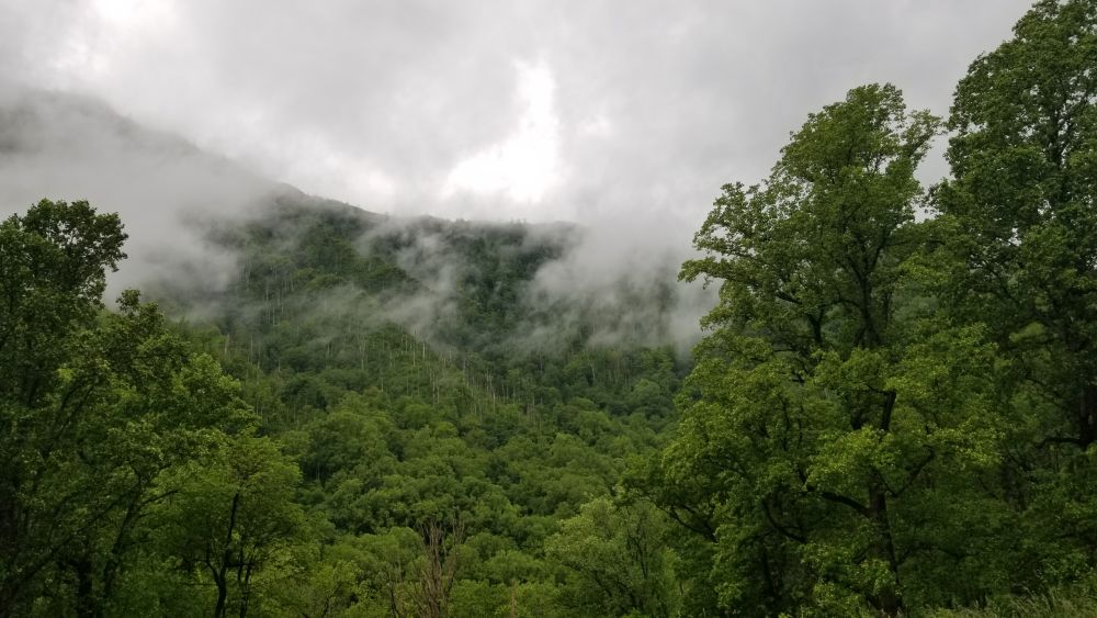 Outlook