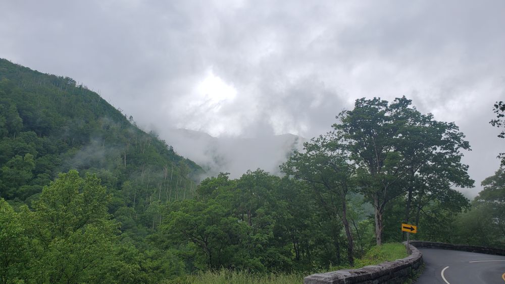 Outlook