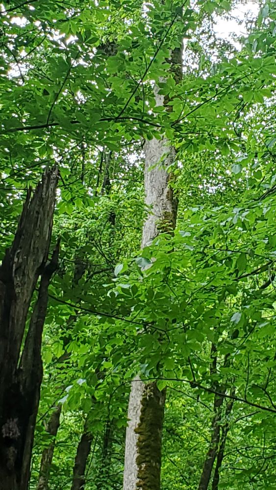 Outlook