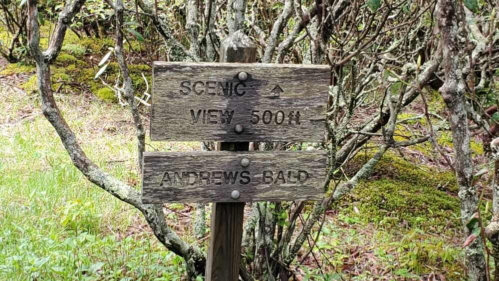 Outlook
