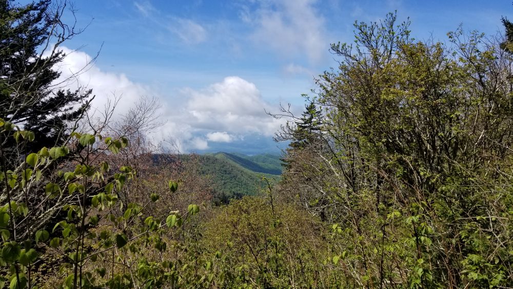 Outlook