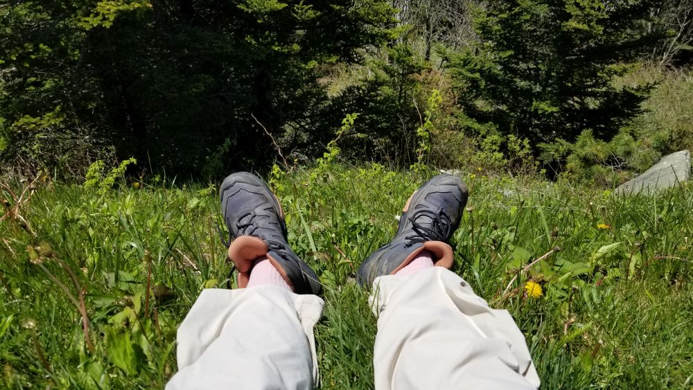 Outlook
