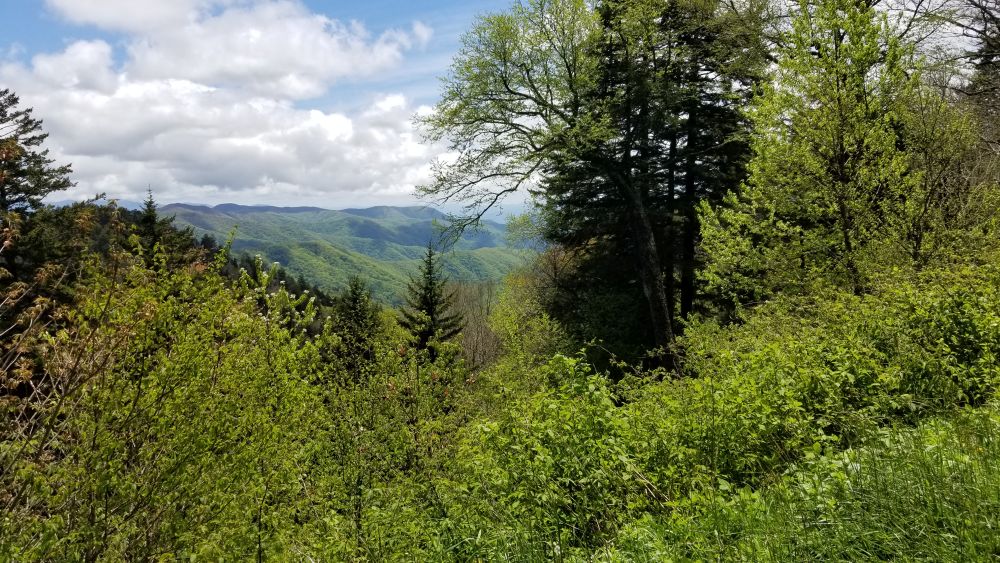 Outlook