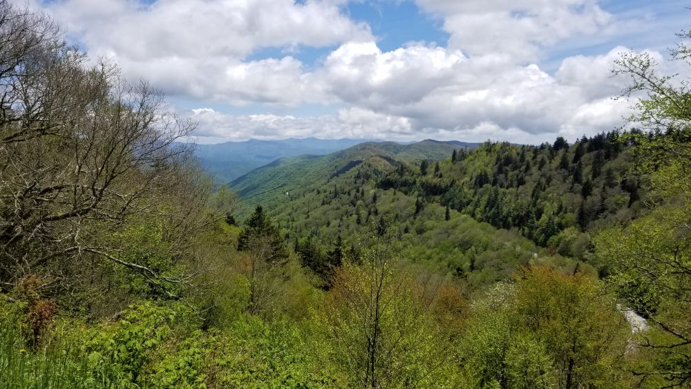 Outlook