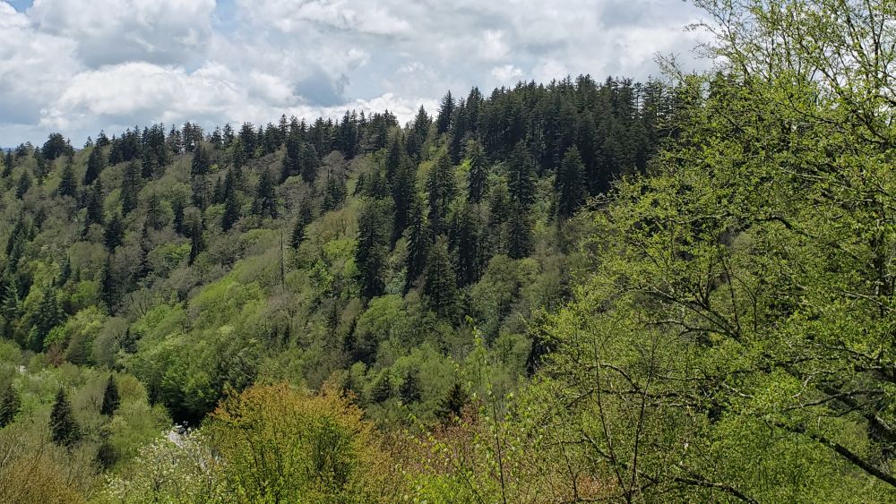 Outlook