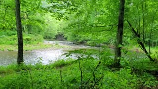 River Trail