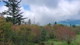 Abrahms Bald Hike