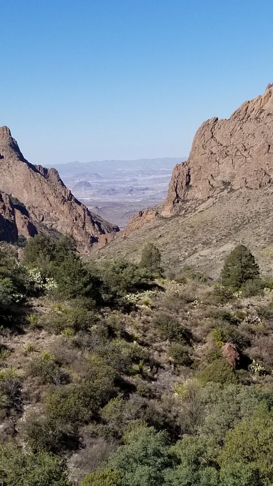 Outlook