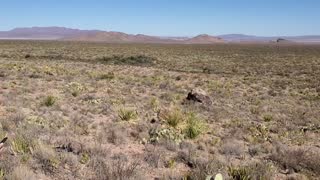 Lone Mountain Hike