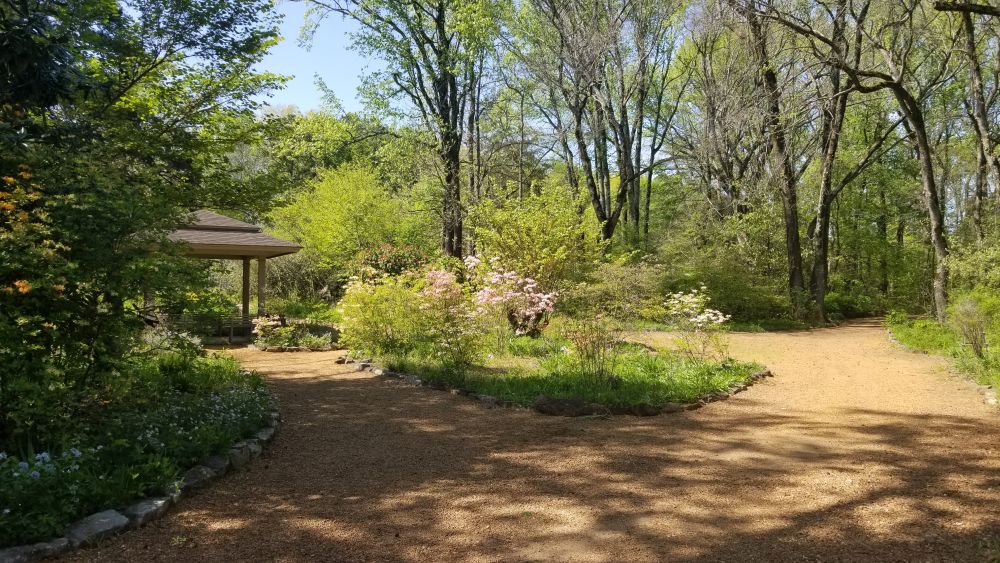 Outlook