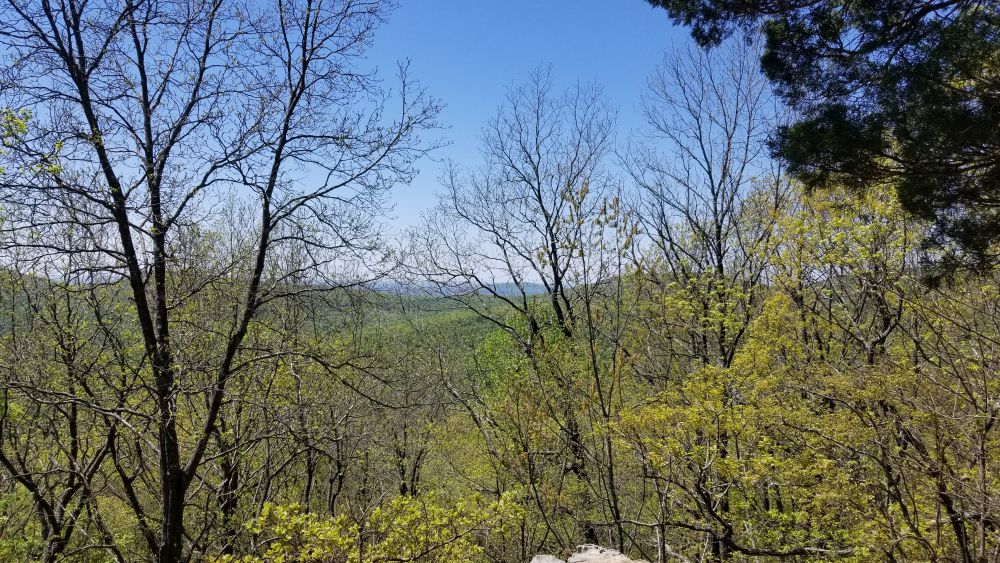 Outlook