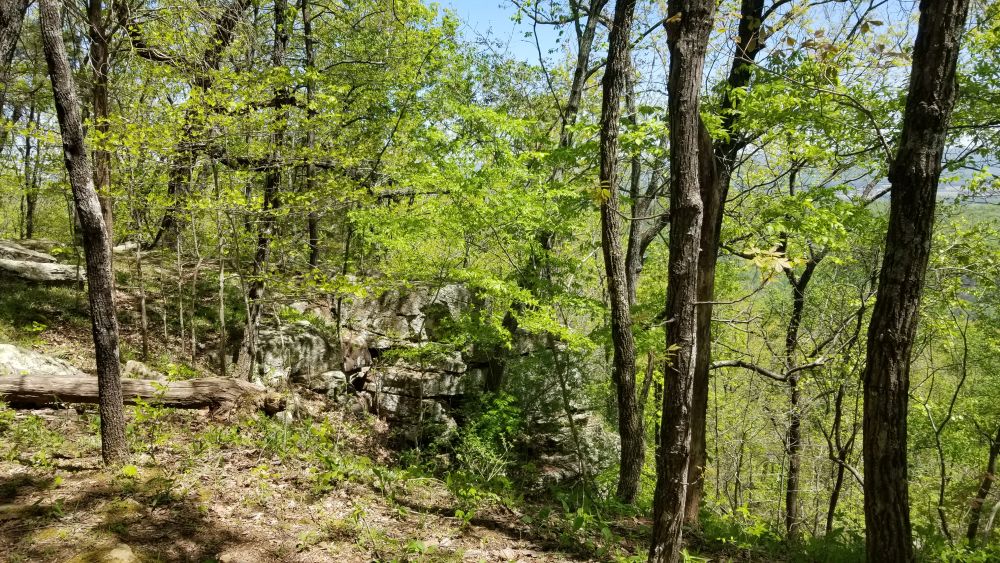 Outlook