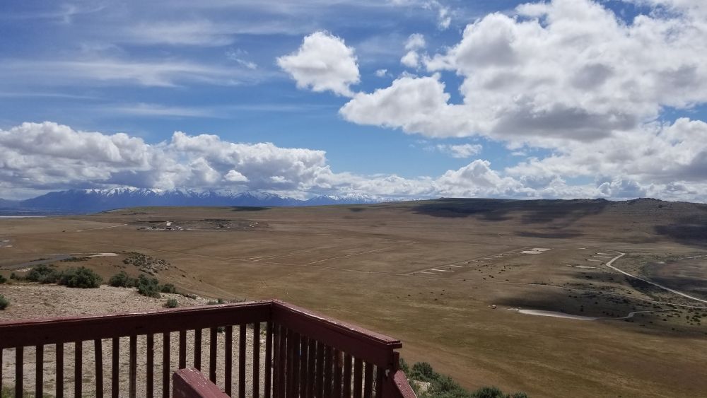 Outlook