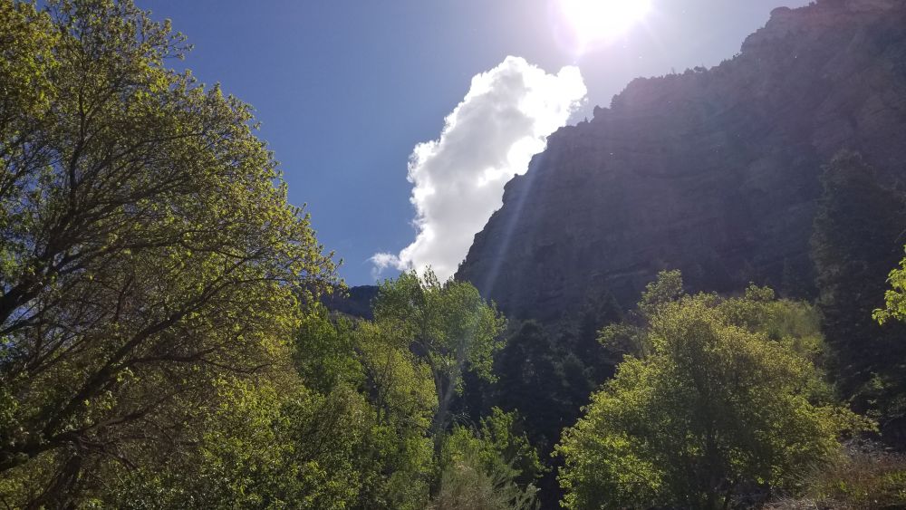Outlook