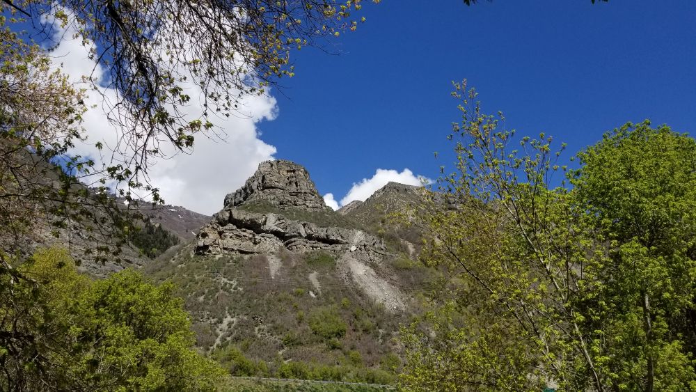 Outlook
