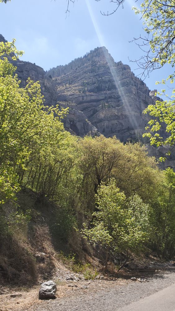 Outlook