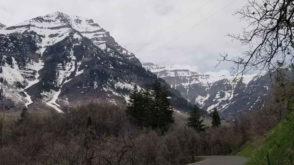 Outlook