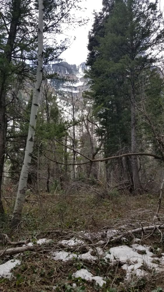 Outlook