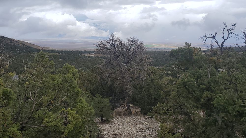 Outlook