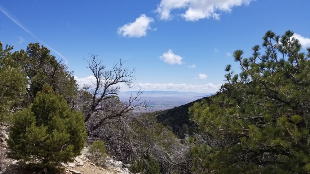 Outlook