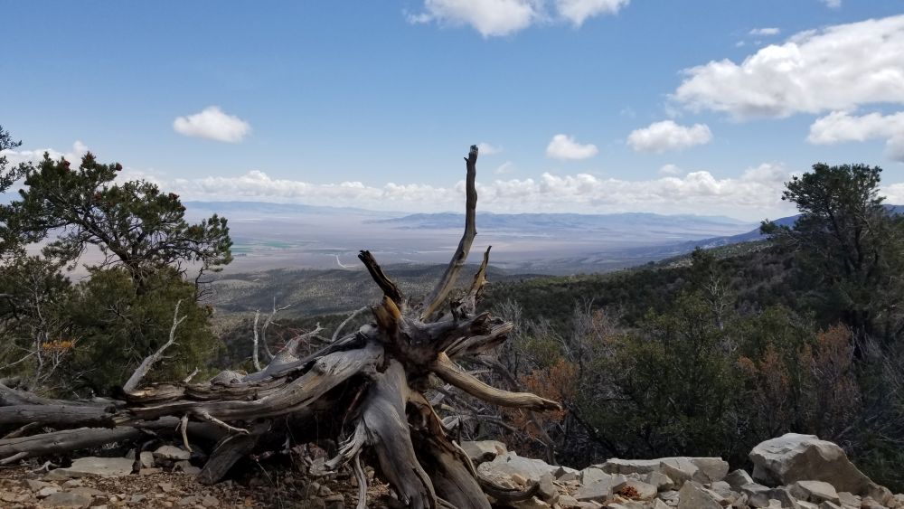 Outlook