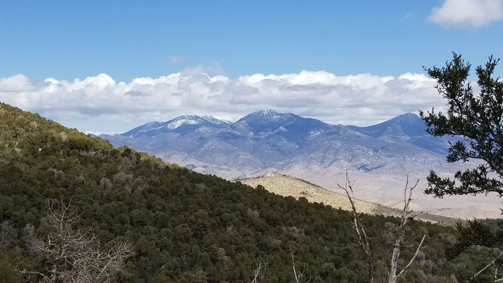 Outlook