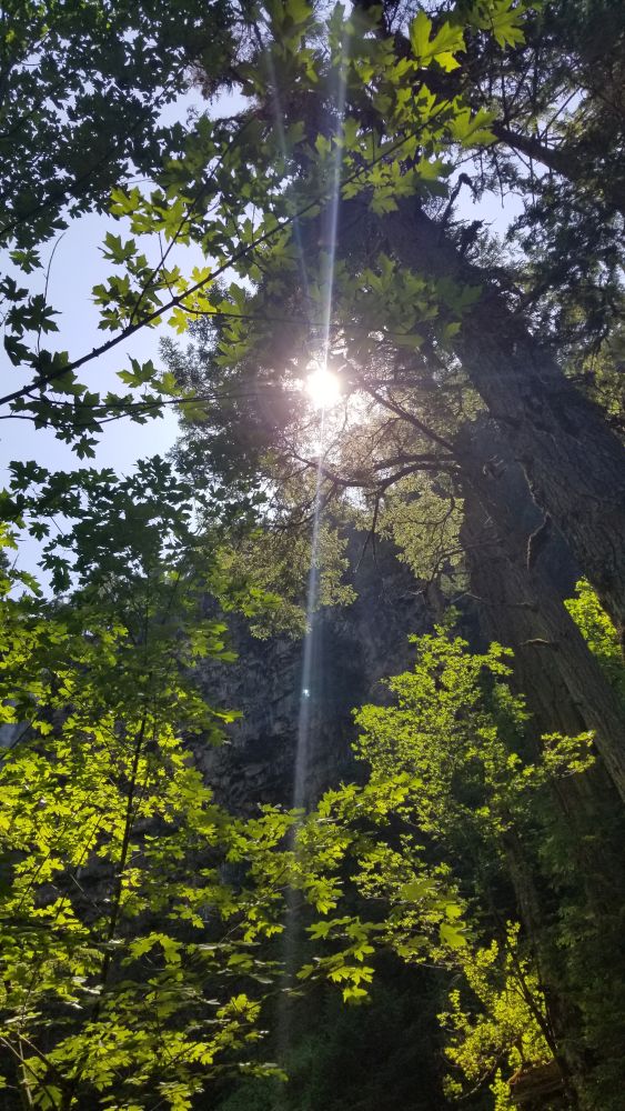 Outlook