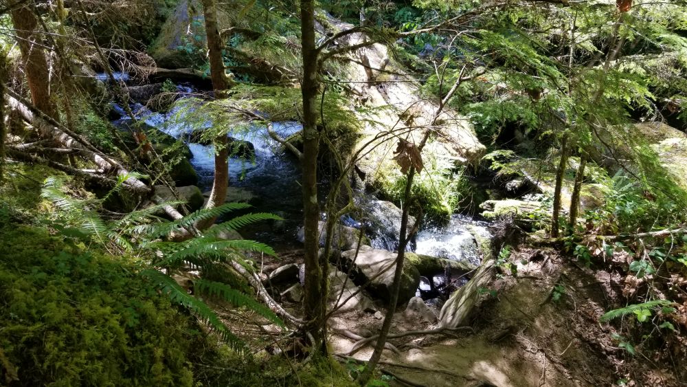 Outlook