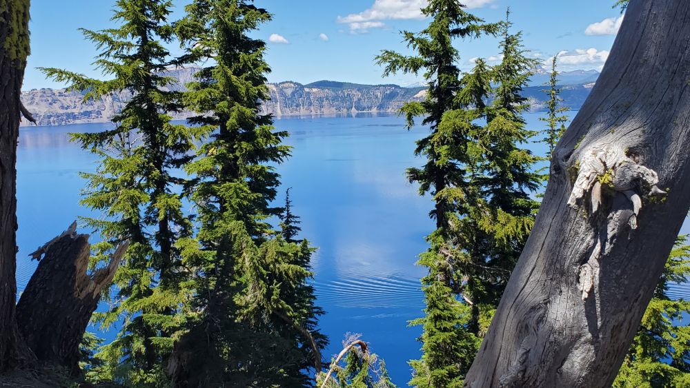 Outlook