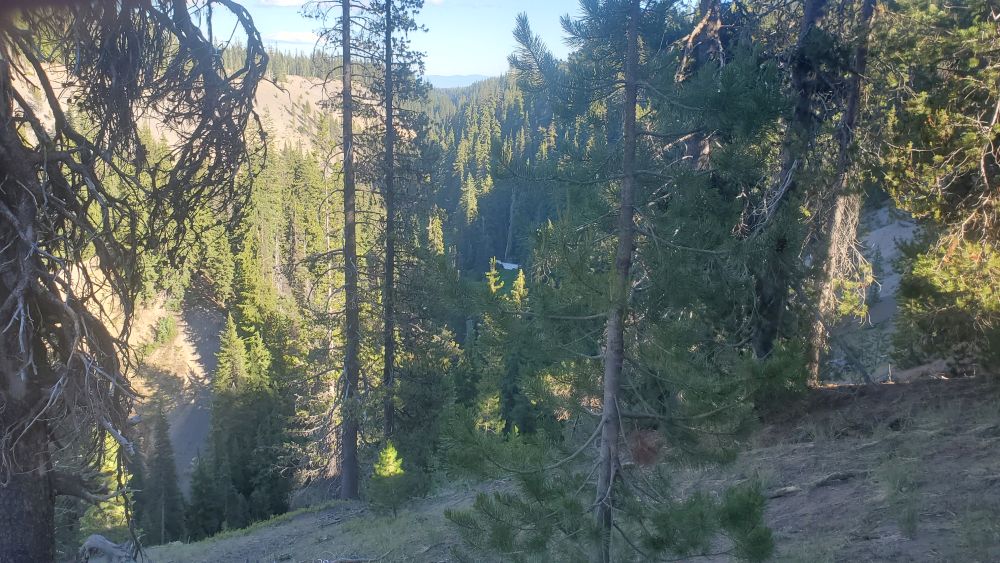 Outlook
