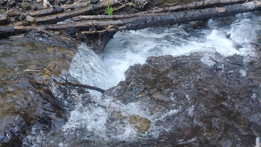 Outlook