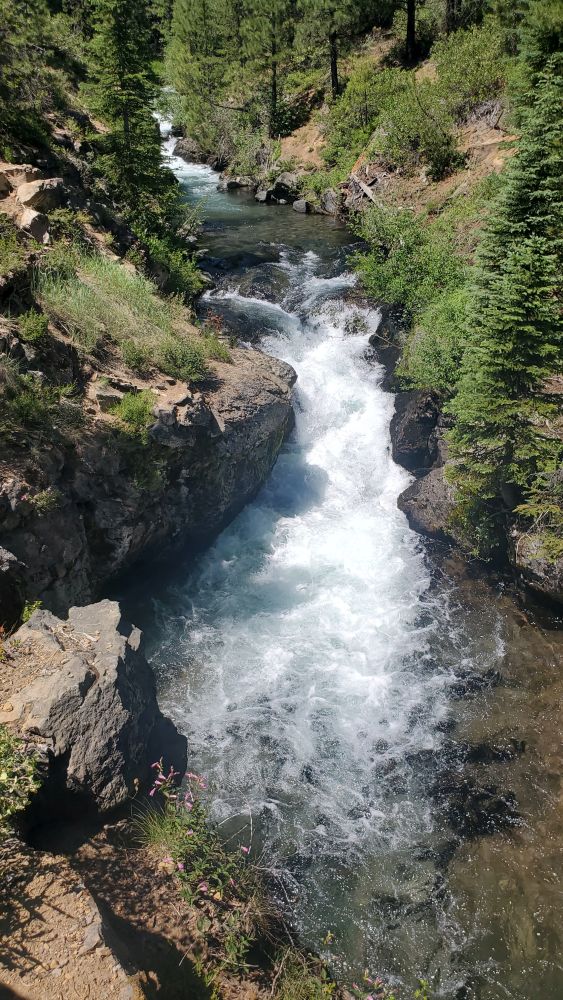 Outlook