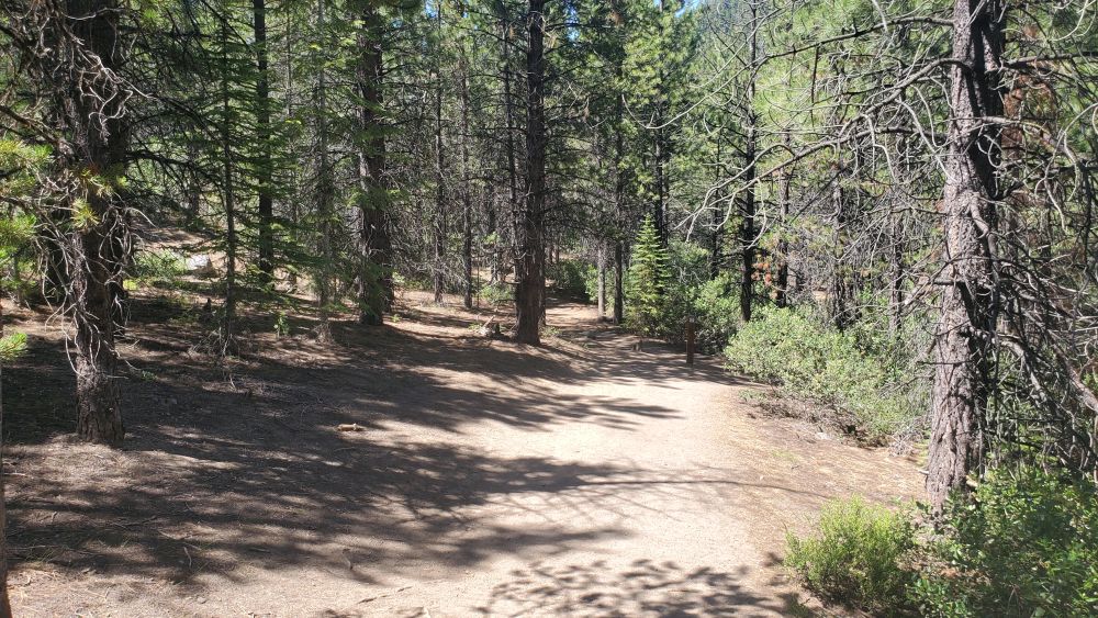 Outlook