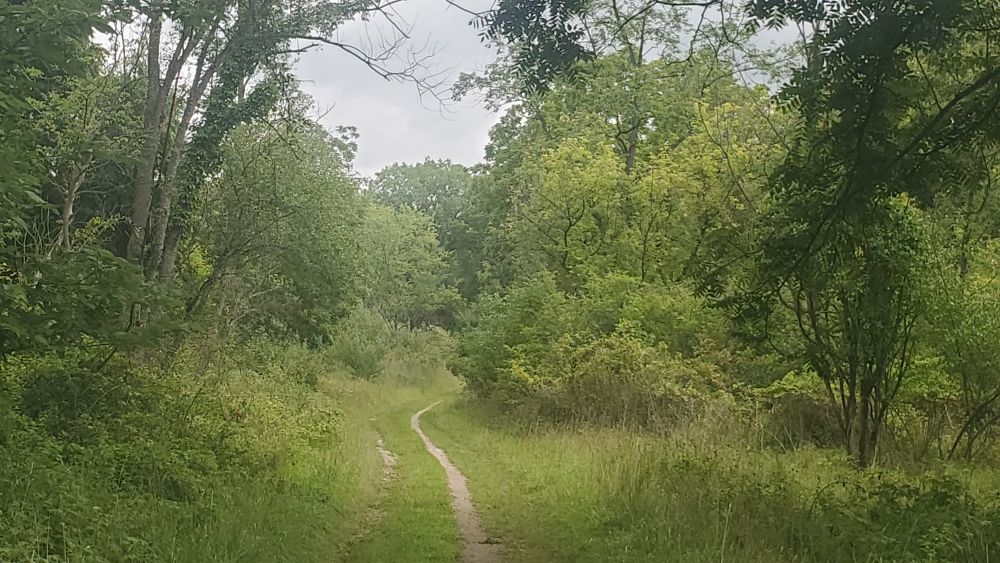 Outlook