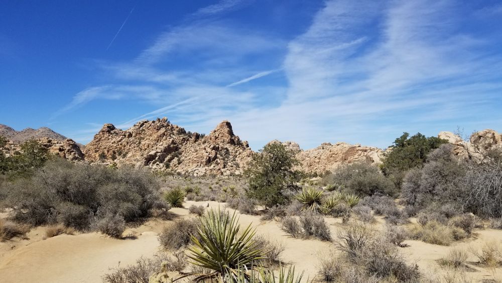 Outlook