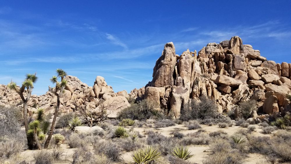 Outlook