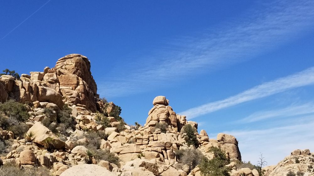 Outlook