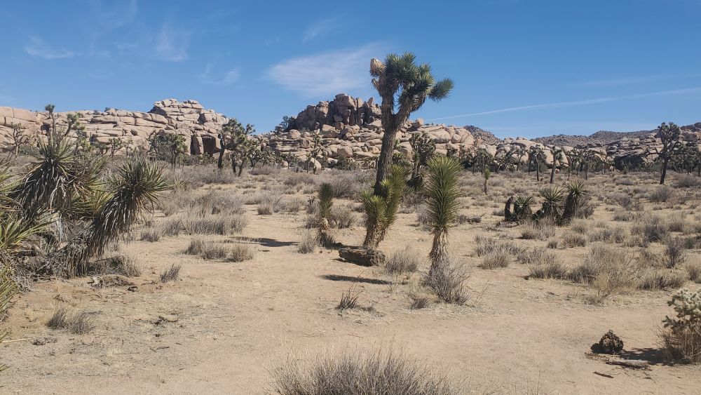 Outlook