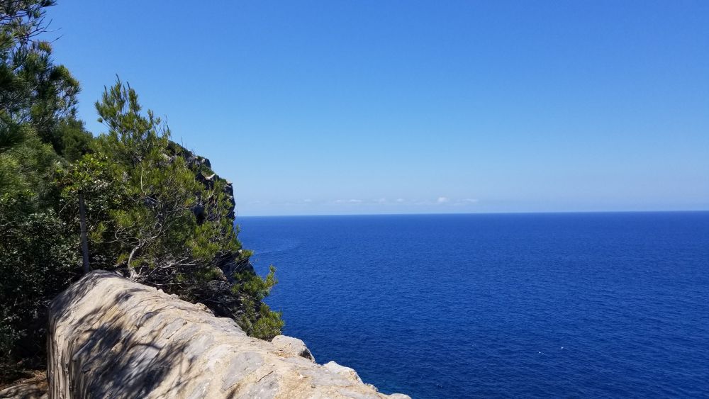 Outlook