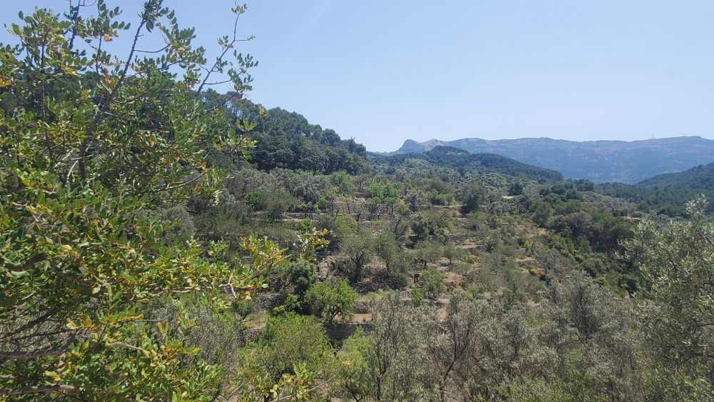 Outlook