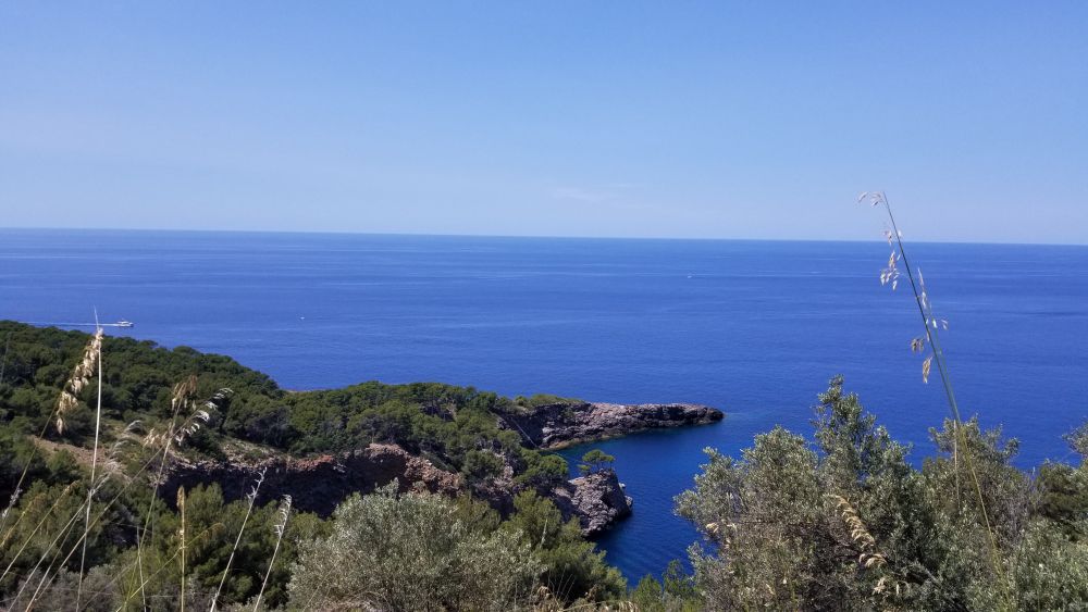 Outlook