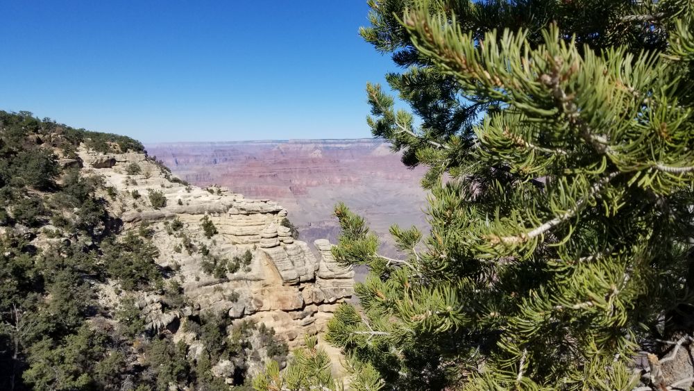 Outlook
