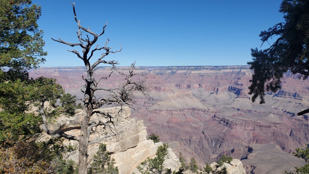 Outlook