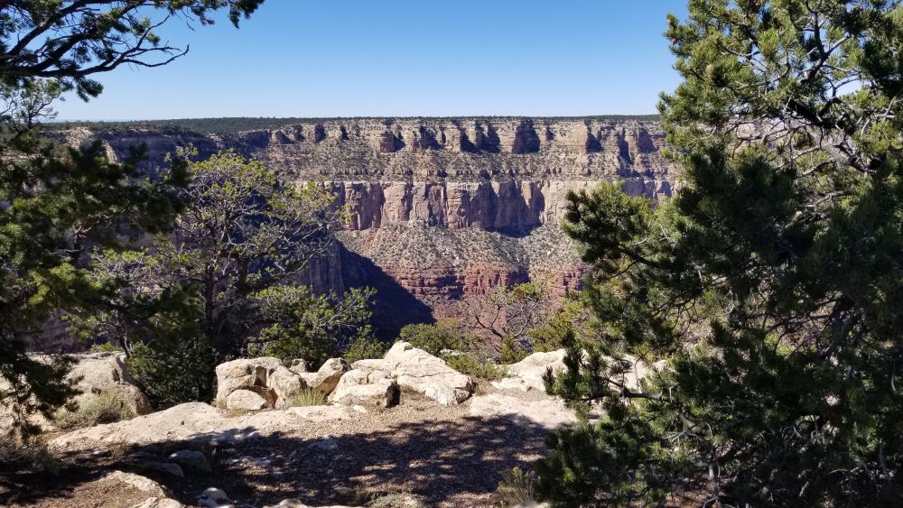 Outlook