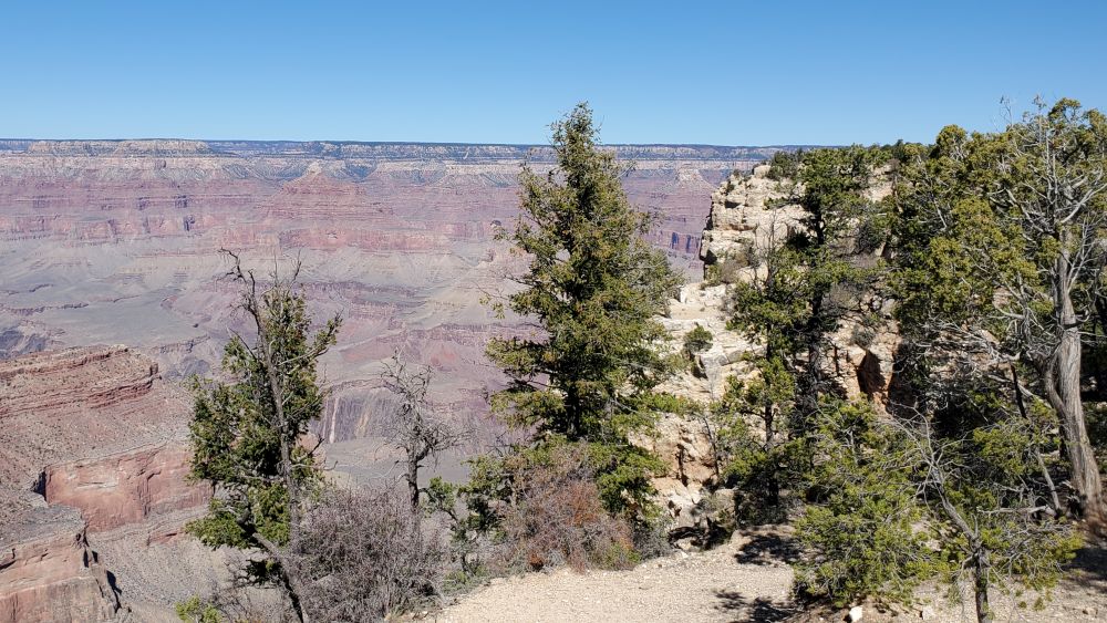 Outlook