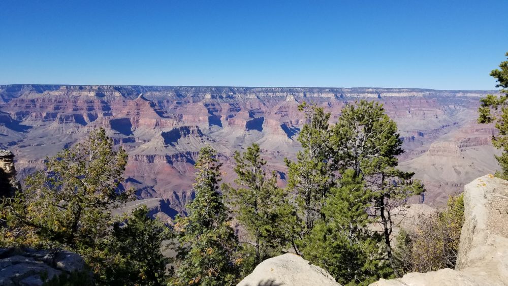 Outlook