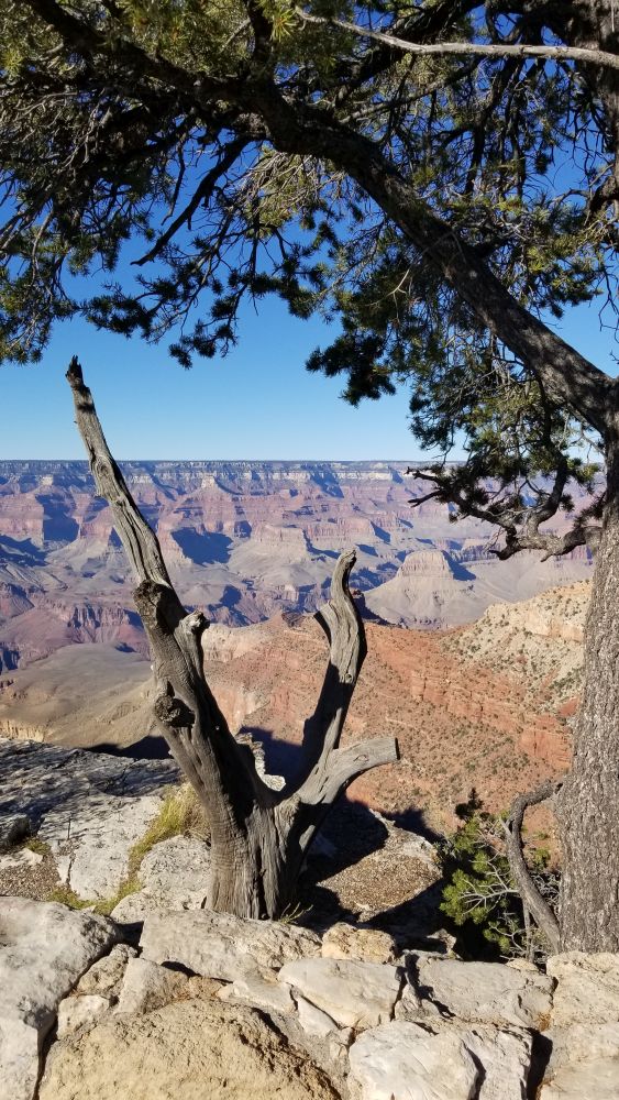 Outlook