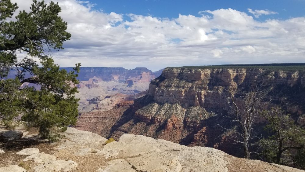 Outlook